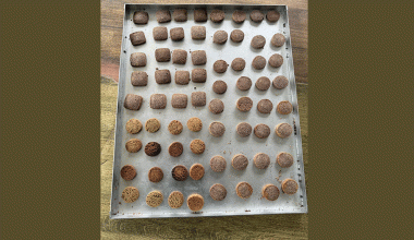 कोदोको बिष्कुट उत्पादन गर्न उद्योग स्थापना