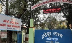 प्रदेश सभामा पेश गरेको आमसञ्चार सम्बन्धी विधेयकमा असन्तुष्टि जनाउदै पत्रकारले गरे उल्टो हिडेर विरोध