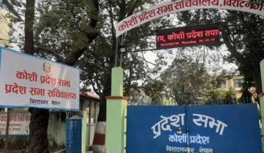 प्रदेश सभामा पेश गरेको आमसञ्चार सम्बन्धी विधेयकमा असन्तुष्टि जनाउदै पत्रकारले गरे उल्टो हिडेर विरोध