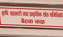 कृषि सहकारी तथा प्राकृतिक स्रोत समितिको बैठक बस्दै