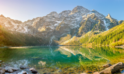 आज विश्व ताल दिवस