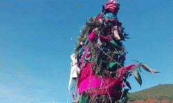 सुदूरपश्चिममा ओल्के पर्व मनाइँदै