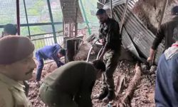 जम्मु-कश्मीरमा आकस्मिक बाढी : कम्तीमा ११ जनाको मृत्यु