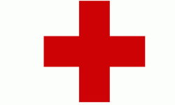 ‘सरकाले दिएको कार्यादेशअनुसार नेपाल रेडक्रसको केन्द्रीय समितिले काम गर्ने’