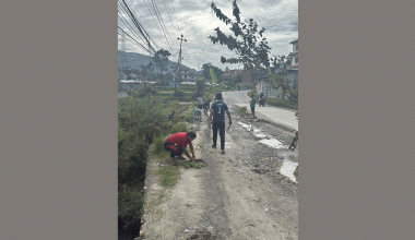 निर्माणमा कसैले चासो नदिएको भन्दै स्थानीयले सडकमै केराको बोट रोपेर जनाए विरोध