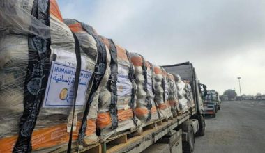 जोर्डन, जर्मनी र अन्य देशको संयुक्त प्रयासमा गाजामा मानवीय सहायता