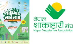 काठमाडौंमा हुने अहिंसा महोत्सवको तयारी पूरा