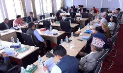 चारवटा संसदीय समितिको बैठक बस्दै