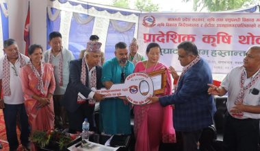 हेटौंडामा लिफ्टसहितको प्रादेशिक कृषि थोकबजार