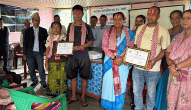 रोपाइँ पनि ठेक्कामा !