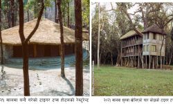 टाइगर टप्स होटल