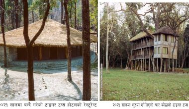 टाइगर टप्स होटल