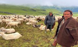 भेडी गोठाला भन्छन्– सरकारले एउटा न्यानो ज्याकेट दिए पनि लाउने थियौँ