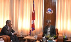 सञ्चारमन्त्री खरेलसँग अमेरिकी राजदूत थम्प्सनको शिष्टाचार भेट