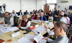 विधायन व्यवस्थापन समितिमा अनिवार्य अवकाशसम्बन्धी व्यवस्थामा सहमति