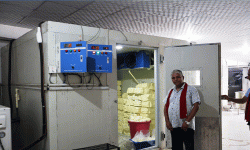 बागलुङमा घ्यू भण्डारण गर्न ‘कोल्ड स्टोर’ सञ्चालन