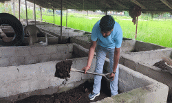 गड्यौला मल उत्पादनबाट मनग्य आम्दानी