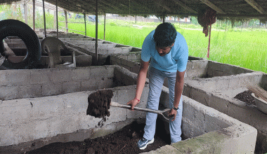 गड्यौला मल उत्पादनबाट मनग्य आम्दानी