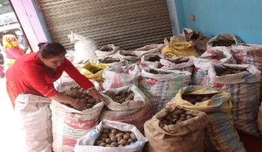 म्याग्दीमा करिब एक अर्बको आलु र सुन्तला बिक्री
