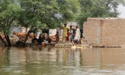 बाढीले पञ्जाबको अन्न भण्डार ध्वस्त, किसान सङ्कटमा