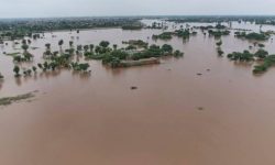 भारतको पञ्जाब र हरियाणामा भीषण बाढी, ४८ जनाको मृत्यु