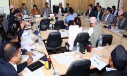 राज्य व्यवस्था समितिको बैठक बीचैमा स्थगित