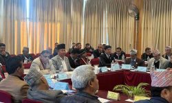 प्रदेश समन्वय परिषद् बैठकको माग गर्दै मुख्यमन्त्रीलाई ज्ञापन