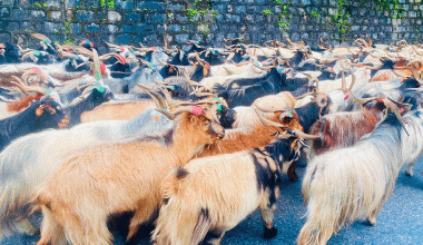 लेकका च्याङ्ग्रा सहरमा