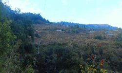 भोजपुरको टेम्केमैयुङमा केन्द्रीय विद्युत् विस्तार