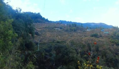 भोजपुरको टेम्केमैयुङमा केन्द्रीय विद्युत् विस्तार