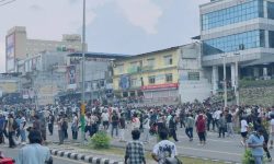 चितवन कारागारका ५४ कैदीबन्दी फर्किए