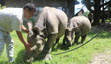 सौराहमा हुर्किंदै छन् ‘राम’ र ‘देव’