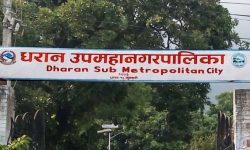 धरान उपमहानगरले ल्यायो दुई अर्ब २० करोडको बजेट