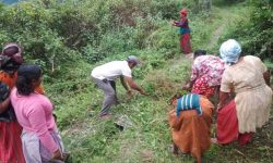 दसैँ नजिकिएसँगै चिटिक्क पारिँदै गाउँ