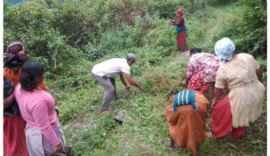 दसैँ नजिकिएसँगै चिटिक्क पारिँदै गाउँ