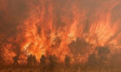 जलवायु सङ्कट गहिरिँदैः युरोपमा डढेलो बारम्बार हुने स्थिति