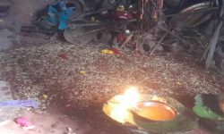 गोरखा दरबारको दसैँघरमा जमरा राखियो