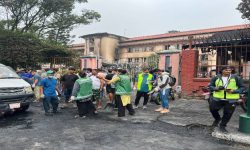 सरसफाइमा ‘जेनजी’