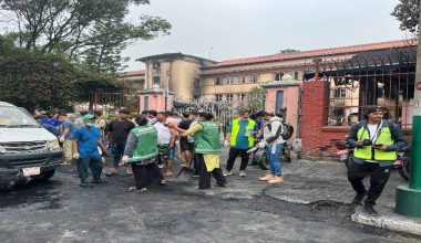 सरसफाइमा ‘जेनजी’