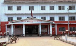 जिल्ला प्रशासन कार्यालय कञ्चनपुरको सेवा पुनः नियमित