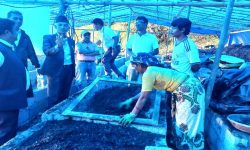 पातपतिङ्गरबाट जैविक मल उत्पादन