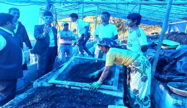 पातपतिङ्गरबाट जैविक मल उत्पादन