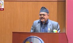 प्रकोप प्रभावितलाई क्षतिपूर्ति उपलब्ध गराउन सांसदद्वारा ध्यानाकर्षण