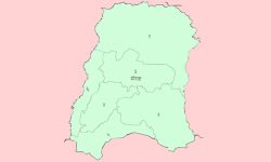 मोरङमा आकस्मिक खरिदमार्फत सरकारी संरचनाको पुनर्निर्माण गरिने