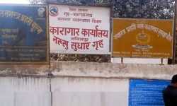 नख्खु कारागारबाट फरार भएका कैदीलाई तत्काल आत्मसमर्पण गर्न आग्रह
