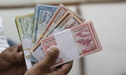 राष्ट्र बैंकले सुरु गर्याे नयाँ नोट बाँड्न