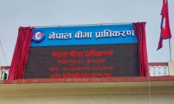 बिमा सूचना केन्द्र स्थापना गर्ने तयारी