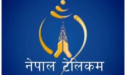 पर्सामा क्षतिको आँकलन गरिँदै : नेपाल टेलिकमको तीन करोड बराबरकोे नोक्सानी