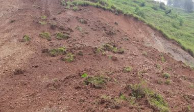 इलामलाई विपद् सङ्कटग्रस्त क्षेत्र घोषणा गर्ने सरकारको निर्णय