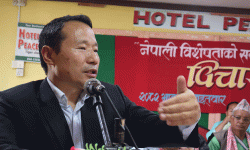 ‘नेपालमा बिचौलिया पुँजीवाद हाबी भयो’